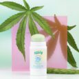 Stick nettoyant visage à l’Aloé Vera et Chanvre CBD 30g – Merci Handy